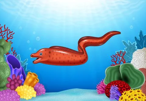 Cute Moray eel with Coral Reef Underwater in Ocean Stock Illustration