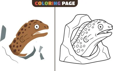 Cute Moray Eel Emerging from a Rock Coloring Page for Kids. Stock Illustration