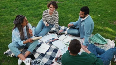 Cute multinational friends learning and talking in park at picnic Stock Footage 244258227