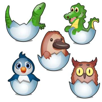 Cute new born animals hatch eggs isolated on white background. Vector cartoon Stock Illustration