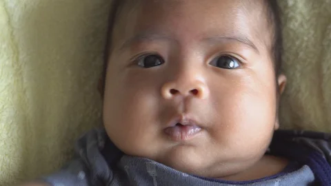 Cute new born Stock Footage 91563799