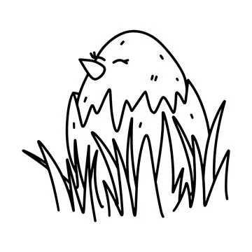 Cute newborn chicken in broken egg shell in hand drawn doodle style. Funny .. Stock Illustration