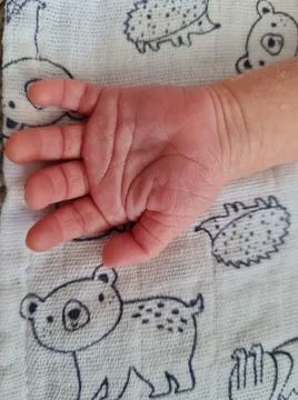 Cute newborn hand, close up. Small little baby girl hand. Little fingers. Hand Stock Photos
