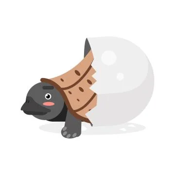 Cute newborn turtle character, funny reptile in egg cartoon vector Illustration Stock Illustration