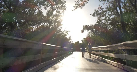 Cute Old Couple Walking Path Through Nature at Sunset Video stock 104508876
