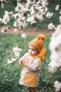A cute one-year-old boy stands near a blooming Apple tree in Stock Photos