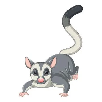 Cute Opossum Crawling Forward on White Background Ilustração Stock