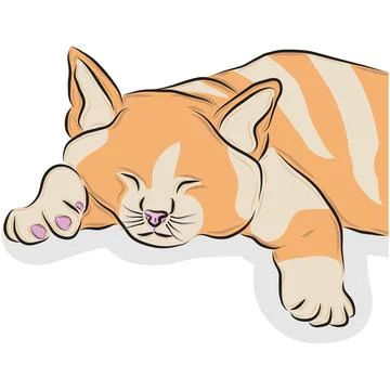 Cute orange cat pet vector picture Stock Illustration