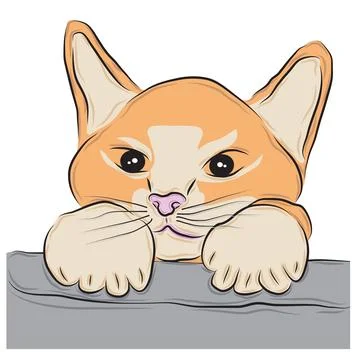 Cute orange cat pet vector picture Stock Illustration