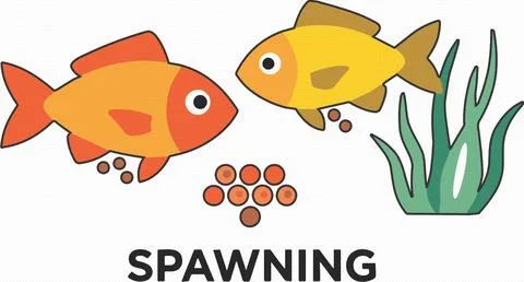 Cute Orange Fish with Bubbles Cartoon Vector Illustration Stock Illustration