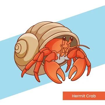 Cute Orange Hermit Crab in Shell Vector Graphic Stock Illustration
