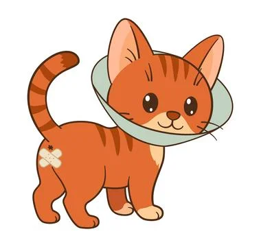 Cute orange tabby cat with cone collar after sterilization operation. Chibi cat Stock Illustration