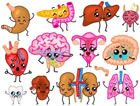 Cute organs. Happy human, Set of smiling characters. Vector pins, cartoon kawaii 스톡 일러스트