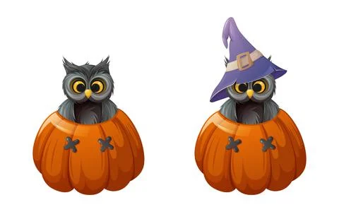 Cute owl with and without sorcery hat is inside a pumpkin with funny face Stock Illustration