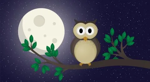 Cute owl illustration vector Stock Illustration