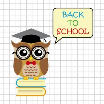 Cute owl teacher on squared background cartoon back to school Stock Illustration