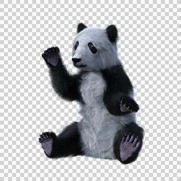 Cute Panda cub sitting. 3d illustration isolated on transparent background. Stock Illustration