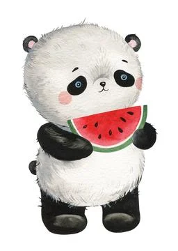 Cute panda with watermelon on isolated background. Watercolor Illustration Stock Illustration