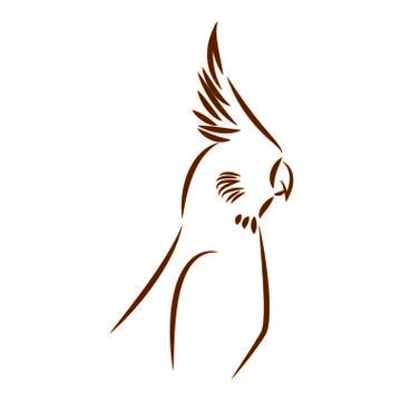 Cute parrot draw イラスト素材