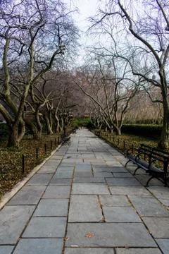 A cute pathway lined with trees Stock Photos
