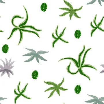 Cute pattern with cactuses and succulents on white in hand drawn style Stock Illustration