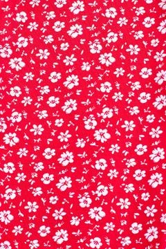 Cute pattern in small white flower. Stock Photos