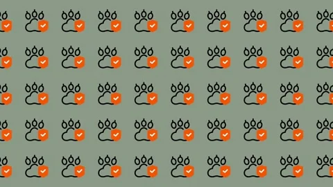 Cute Paw Print Heart Pattern Animation. Stock Footage 325383802