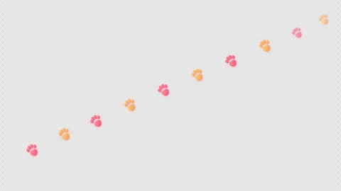 Cute Paw Print Trail Walking Across the Frame in Alternating Left-Right 4K Alpha Stock Footage 346357541