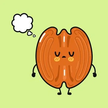 Cute pecan nut thinking with thought bubble cartoon イラスト素材