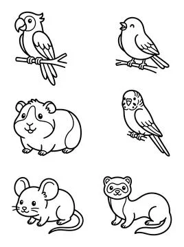 Cute pet animals coloring page set with parrot bird guinea pig budgie mouse Illustration