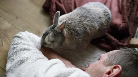 Cute pet rabbit playing with ower on floor. Stock Footage 266157603