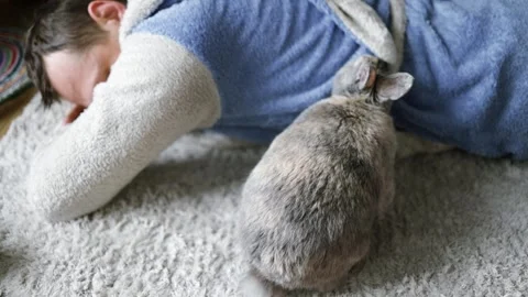 Cute pet rabbit playing with ower on floor. Stock Footage 266157638