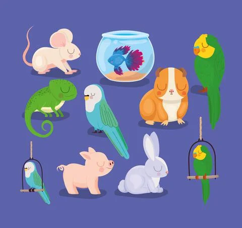 Cute pets group Stock Illustration