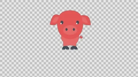 Cute Pig Cartoon Stock Footage 56724980