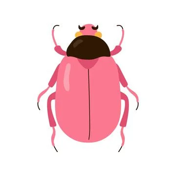 Cute pink beetle bug top view vector illustration isolated on white backgroun Stock Illustration