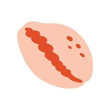Cute pink cowrie seashell vector illustration with orange details. Flat ocean Stock Illustration