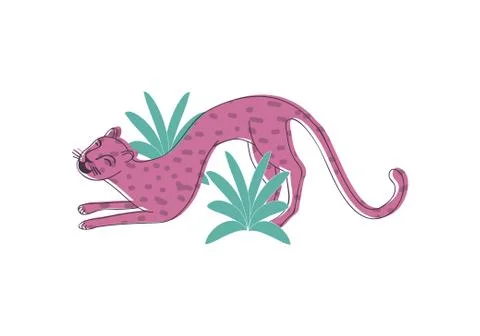 Cute pink leopard with happy face and arched back near tropical leaves. Wildlife 스톡 일러스트