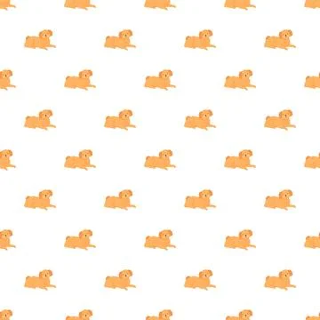 Cute poodle dog seamless pattern on white background Stock Illustration