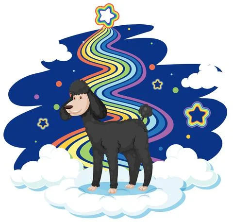 Cute poodle standing on the cloud with rainbow Illustrazione stock