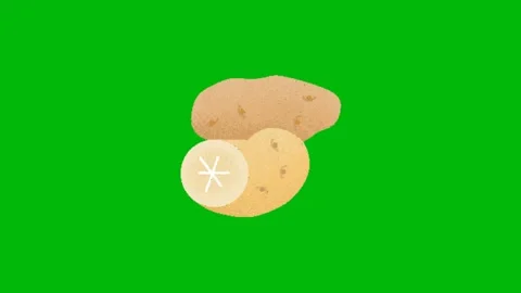 Cute Potato Animation on Green Screen Видео 345096501