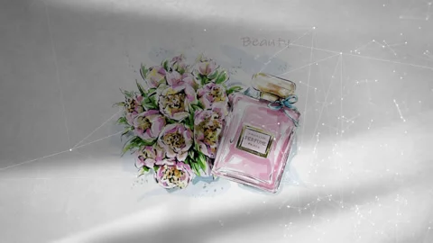 Cute presentation whit shadow for elegant portfolio. 스톡 After Effects