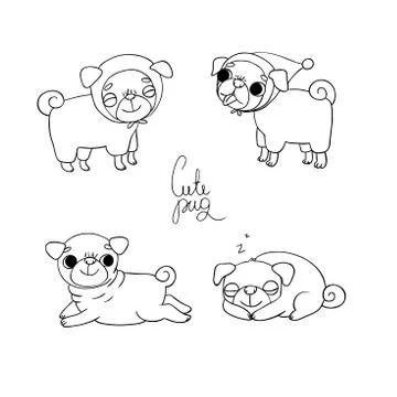 Cute Pugs. Pet clothes Stock Illustration