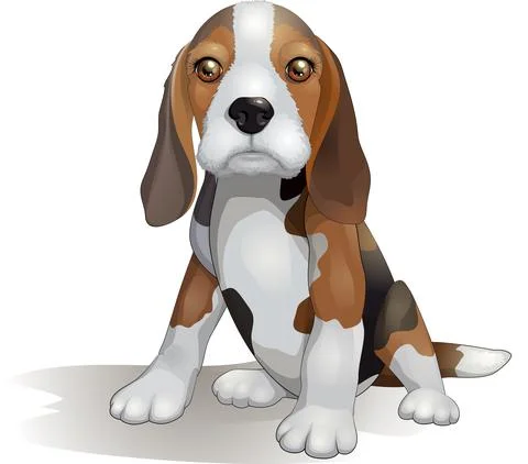Cute puppy beagle breed vector illustration Stock Illustration