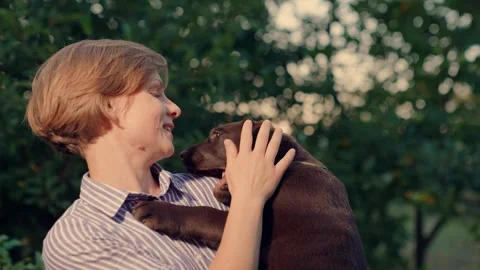 Cute puppy happily licks face mistress. Pet shelter outdoor. Young girl hold in Stock Footage 252157529