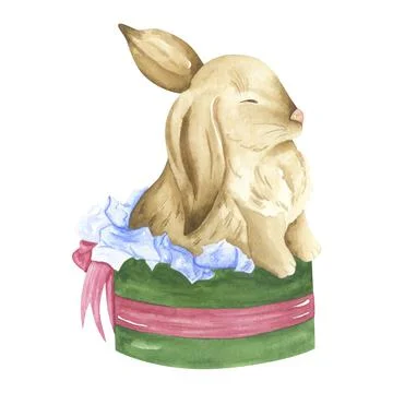 Cute rabbit in a gift box. Fluffy little bunny. Easter bunny. Stock Illustration