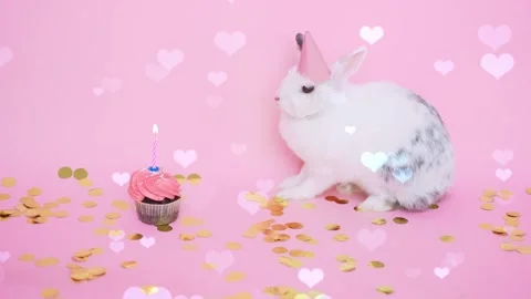 Cute Rabbit in Nest with Falling Blue Hearts and Bokeh Video stock 330247098