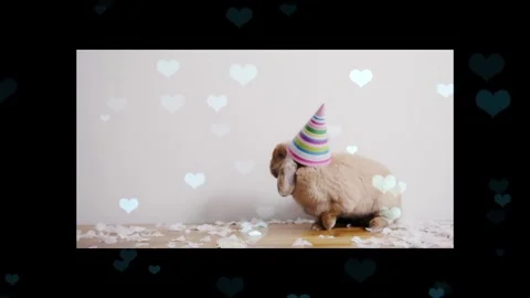 Cute Rabbit in Nest with Falling Blue Hearts and Bokeh Stock Footage 330247563