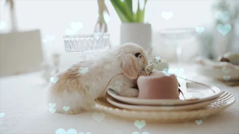 Cute Rabbit in Nest with Falling Blue Hearts and Bokeh Video stock 330247739