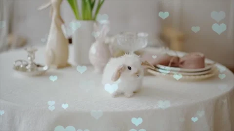 Cute Rabbit in Nest with Falling Blue Hearts and Bokeh 스톡 동영상 330247759