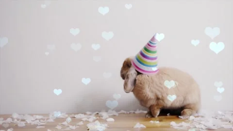 Cute Rabbit in Nest with Falling Blue Hearts and Bokeh Stock Footage 330247933